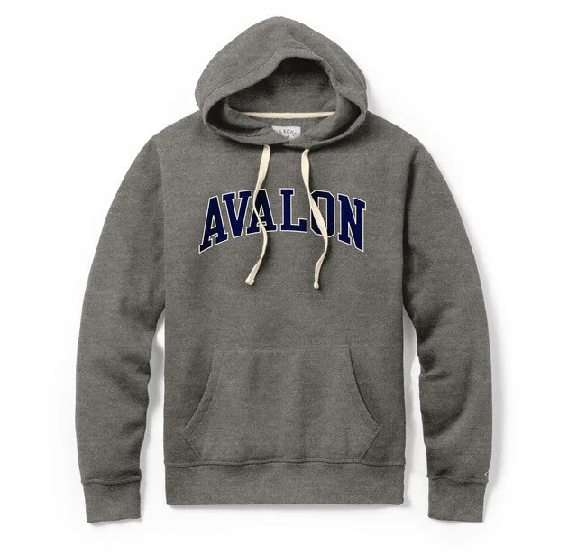 Men's Avalon Stadium Hoodie - Physical Ed Gray